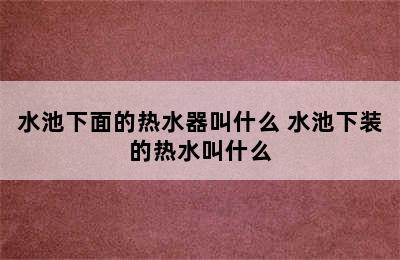 水池下面的热水器叫什么 水池下装的热水叫什么